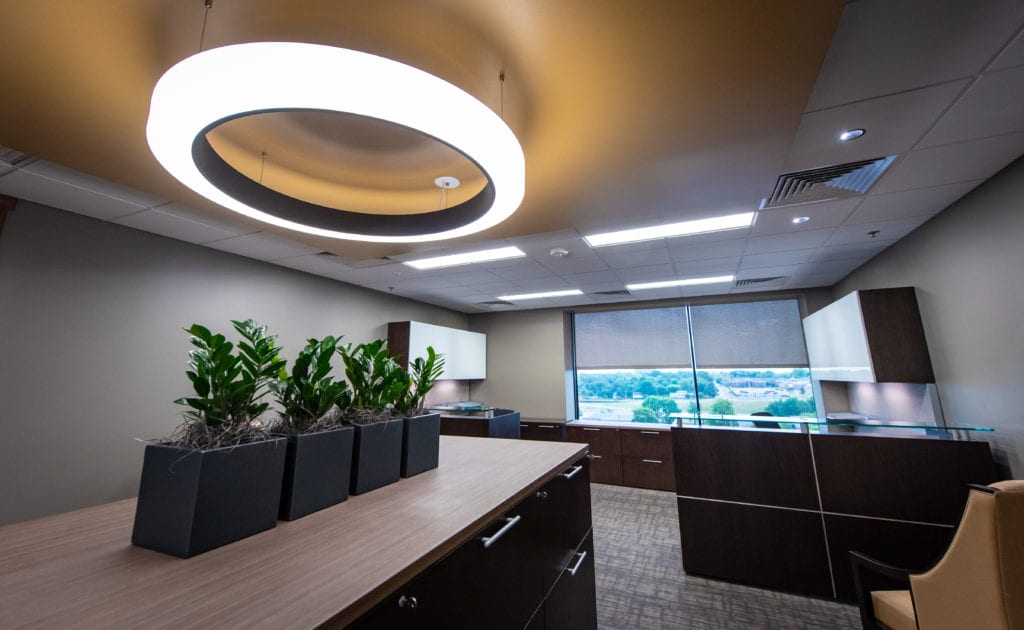 office plants light