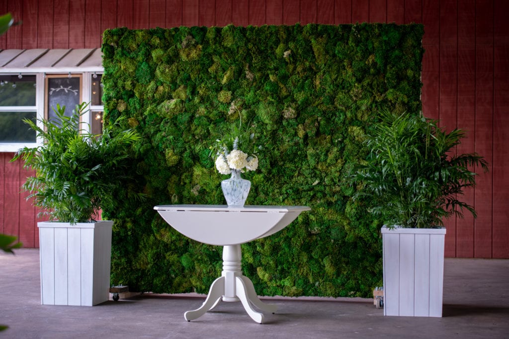 mobile moss wall install