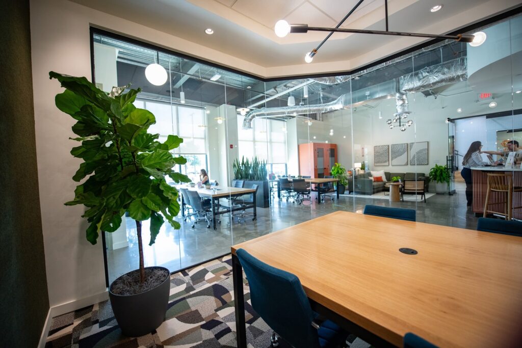 biophilic interior design in the office