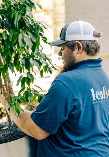 Plant Install